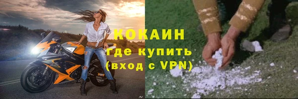дживик Верея
