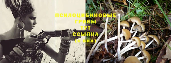 apvp Волоколамск