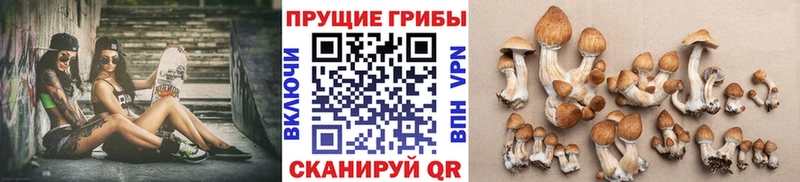 Галлюциногенные грибы GOLDEN TEACHER  где купить   Энгельс 