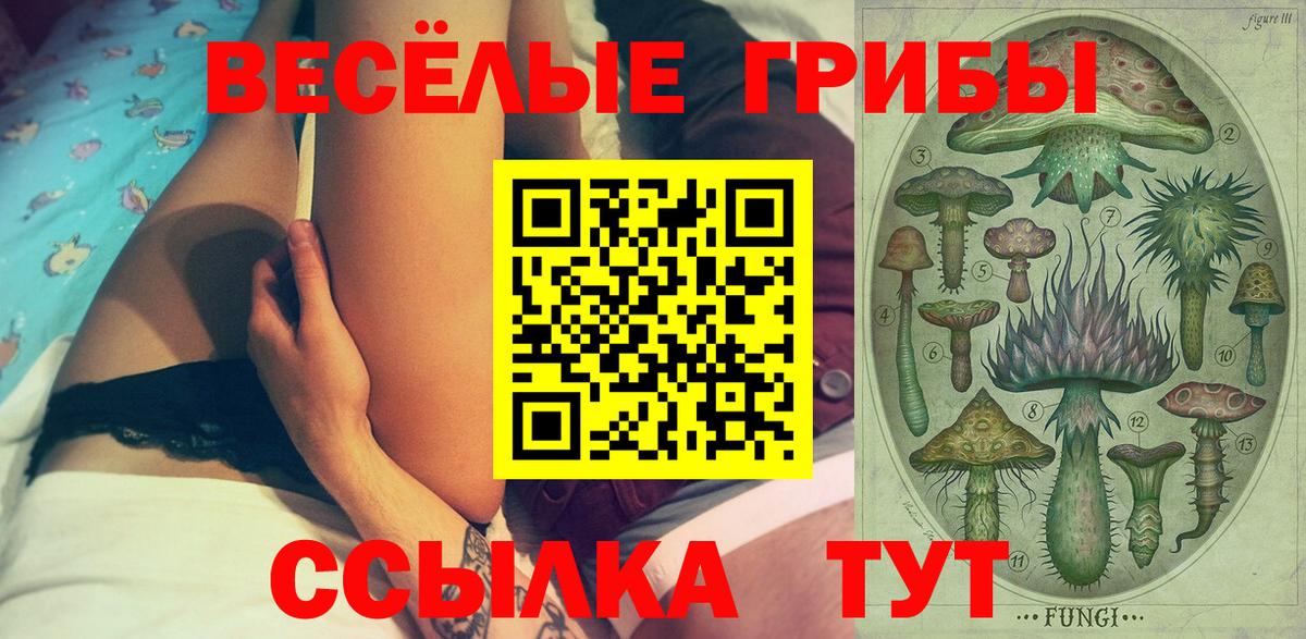 Псилоцибиновые грибы прущие грибы  Вход с VPN  закладка  Энгельс 